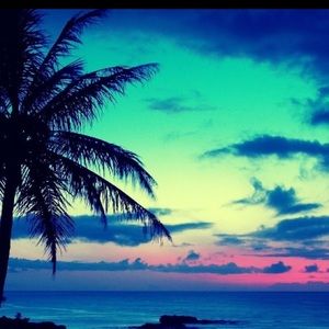 Make an offer or bundle for a discount